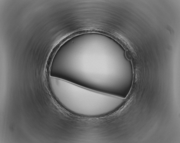 X0000113300876200909140943