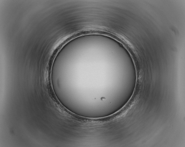 X0000113300877200909140943