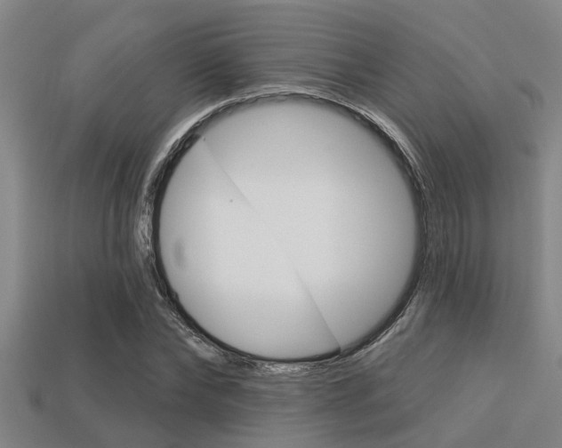 X0000113300878200909140943