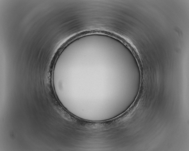 X0000113300879200909140943
