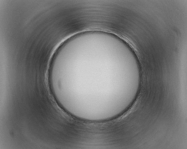 X0000113300880200909140943