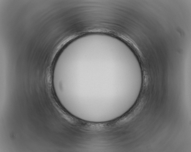X0000113300882200909140943