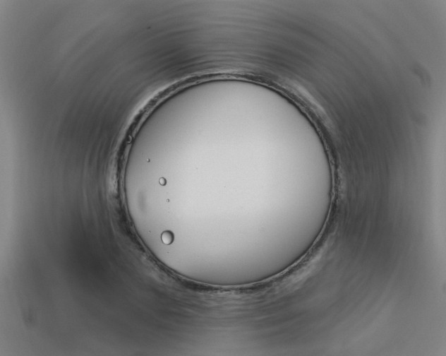 X0000113300883200909140943