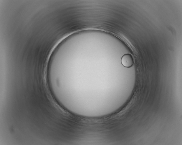 X0000113300884200909140943