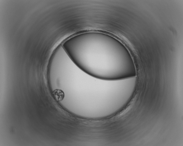 X0000113300885200909140943