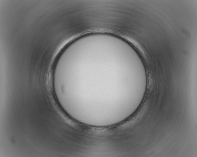 X0000113300886200909140943