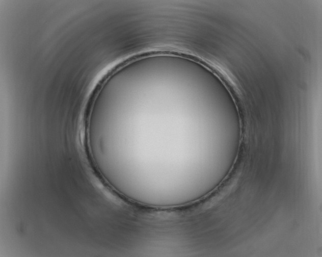 X0000113300888200909140943