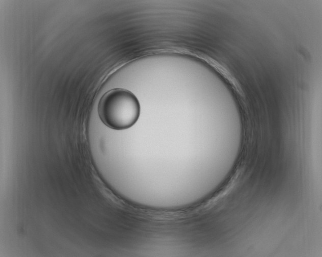 X0000113300889200909140943