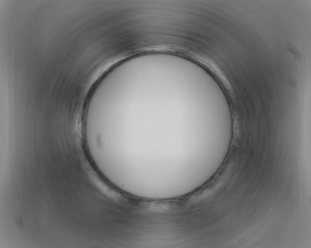 X0000113300890200909140943