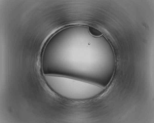 X0000113300892200909140943