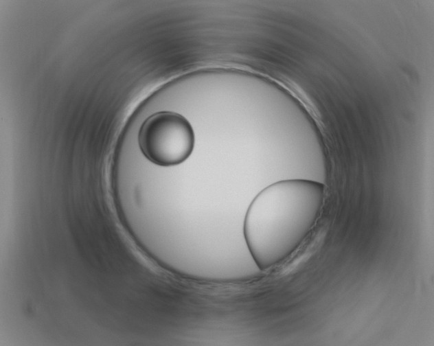 X0000113300893200909140943