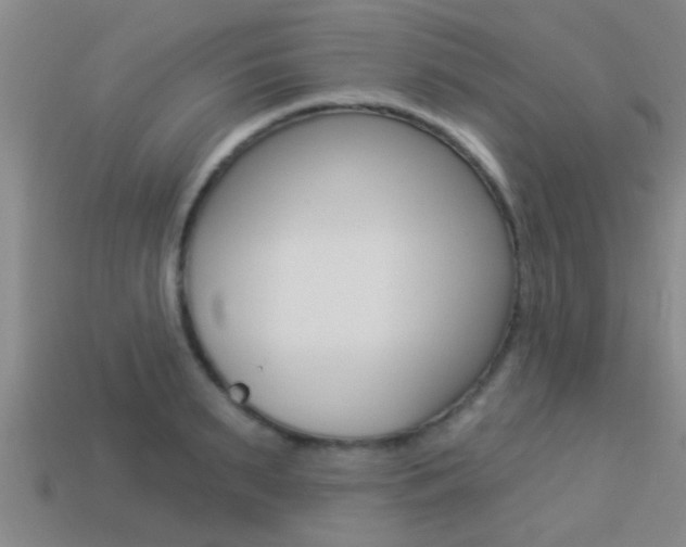 X0000113300895200909140943