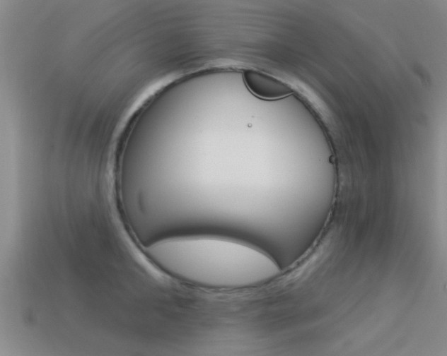 X0000113300902200909140943
