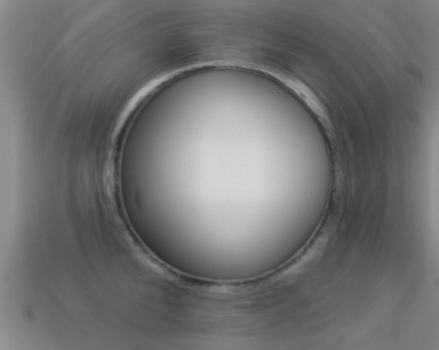 X0000113300904200909140943