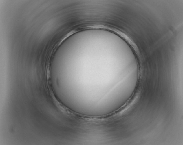 X0000113300905200909140943