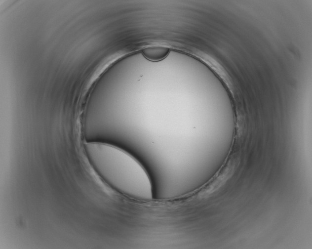 X0000113300906200909140943
