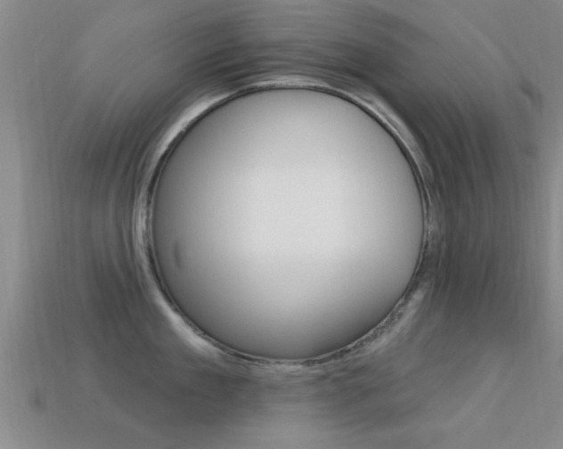 X0000113300909200909140943