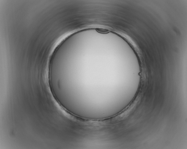 X0000113300910200909140943