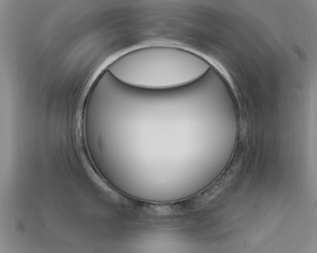 X0000113300911200909140943