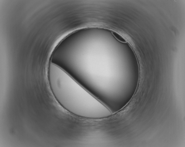 X0000113300912200909140943
