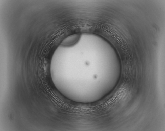 X0000113300914200909140942