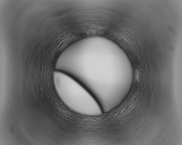 X0000113300915200909140942