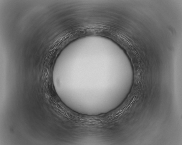 X0000113300917200909140942