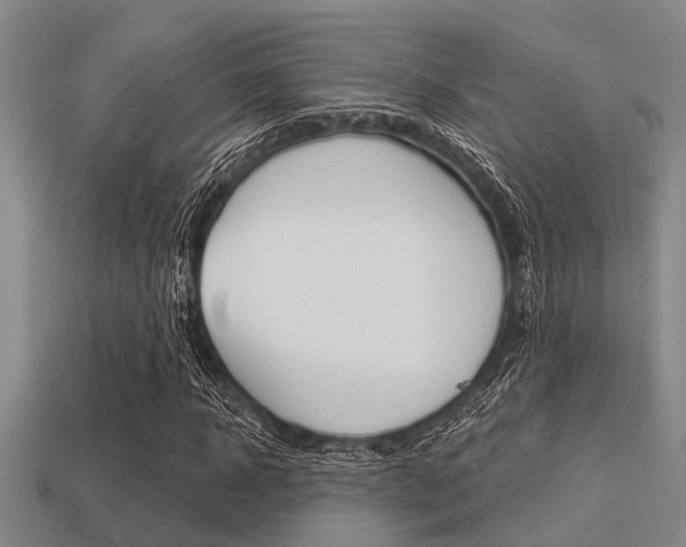 X0000113300918200909140942