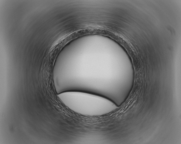 X0000113300919200909140942