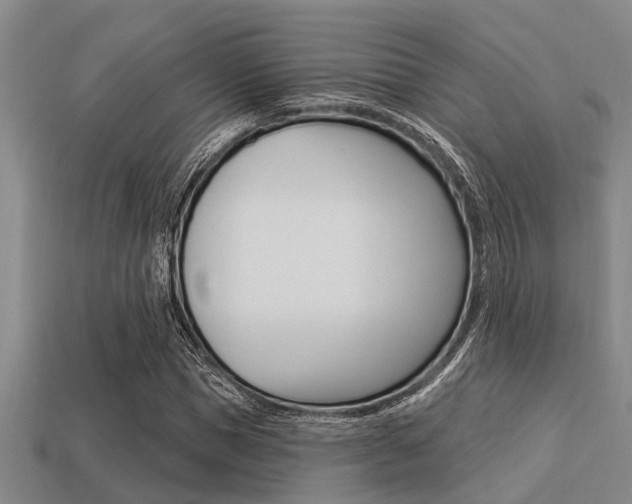 X0000113300921200909140942