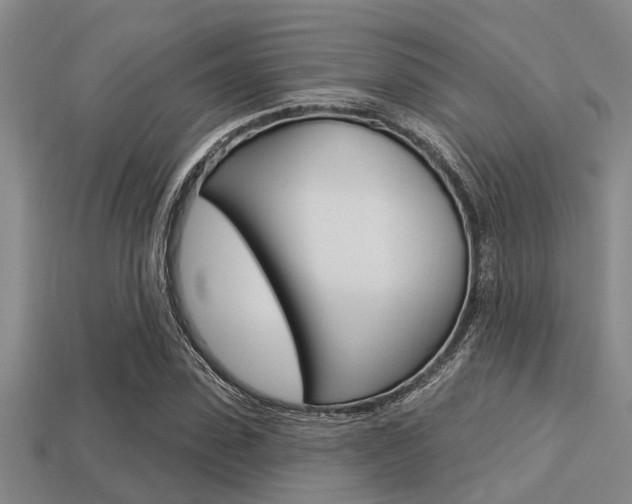 X0000113300923200909140942