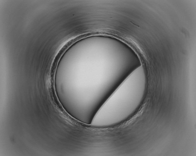 X0000113300924200909140942