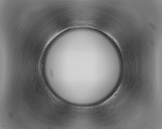X0000113300925200909140942