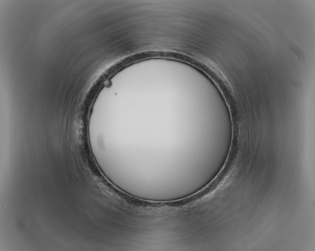 X0000113300926200909140942