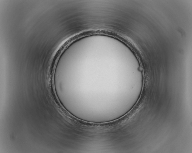 X0000113300927200909140942