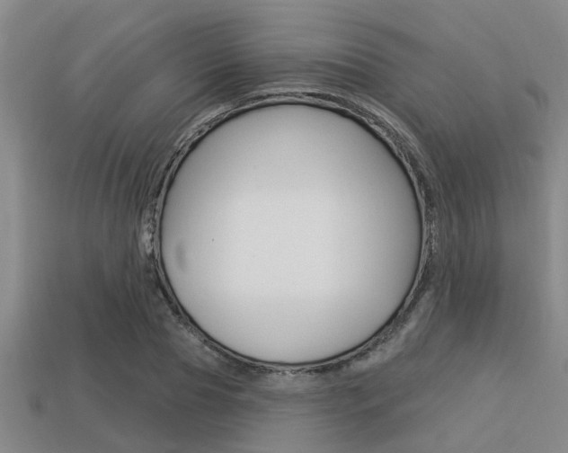 X0000113300929200909140942