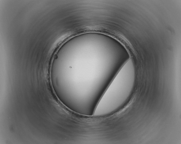 X0000113300930200909140942