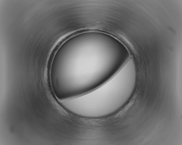 X0000113300932200909140942