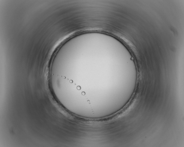 X0000113300933200909140942
