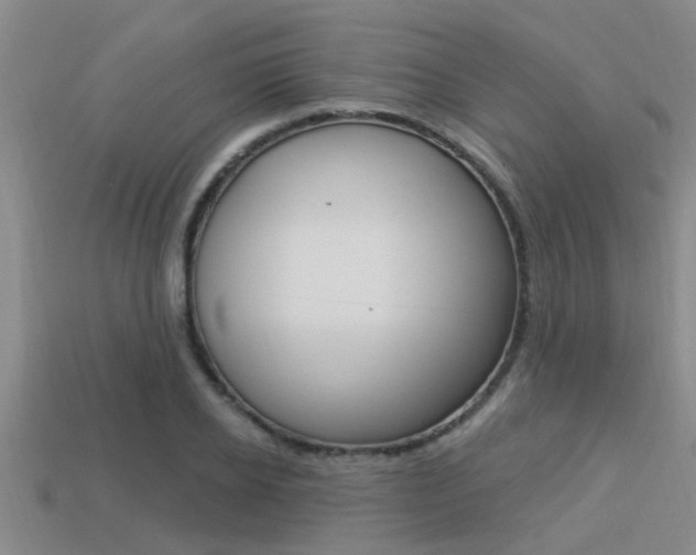 X0000113300934200909140942