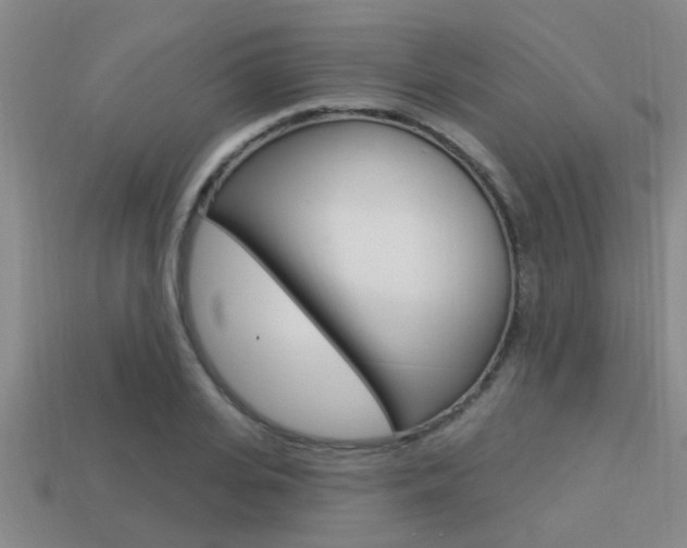 X0000113300935200909140942