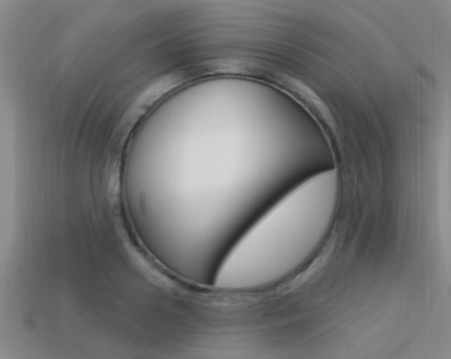X0000113300938200909140942