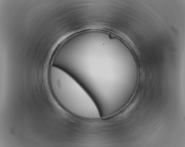 X0000113300939200909140942