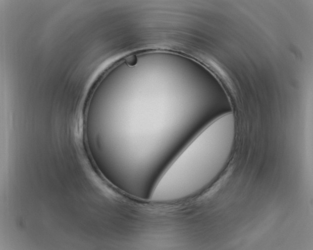 X0000113300940200909140942