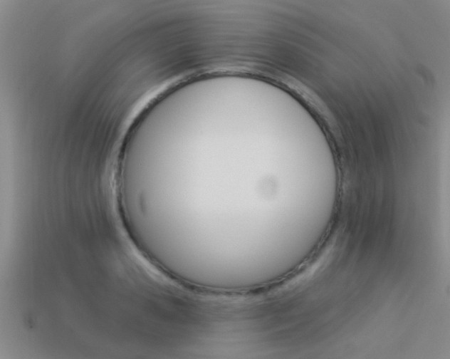 X0000113300941200909140942
