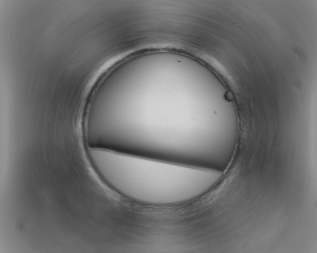 X0000113300943200909140942