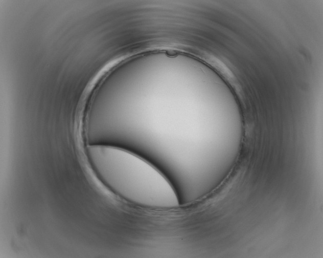 X0000113300947200909140943