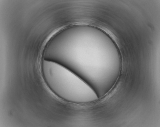 X0000113300949200909140943