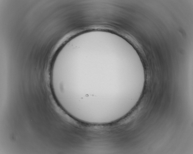 X0000113300950200909140943