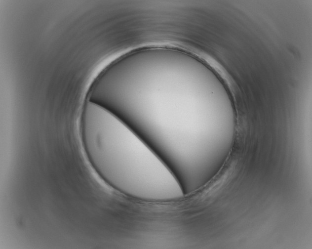 X0000113300951200909140943